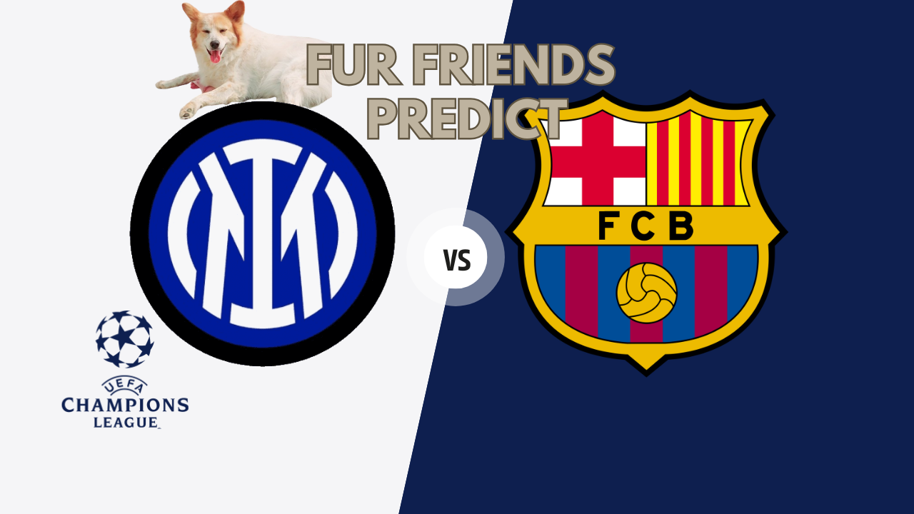 inter-vs-barcelona-fur-friends-predict-uefa-champions-league-2025-semi-finals