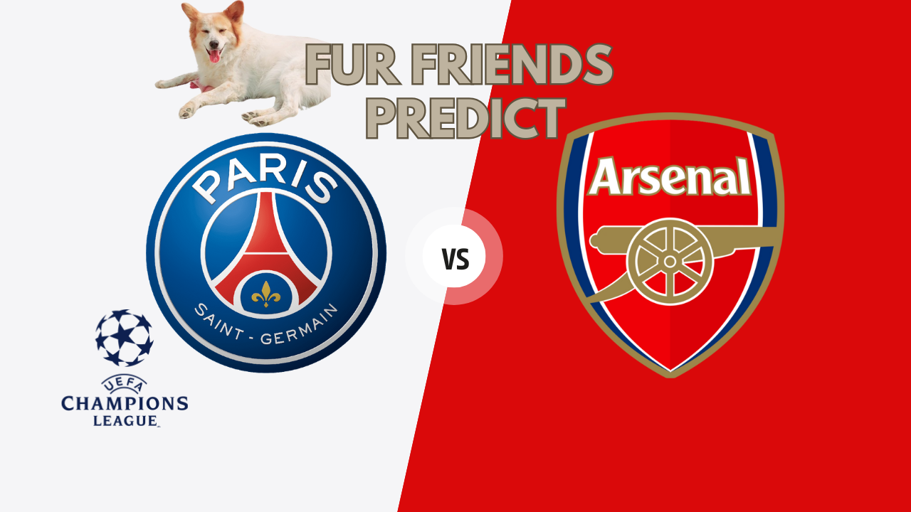 psg-vs-arsenal-fur-friends-predict-uefa-champions-league-2025-semi-finals