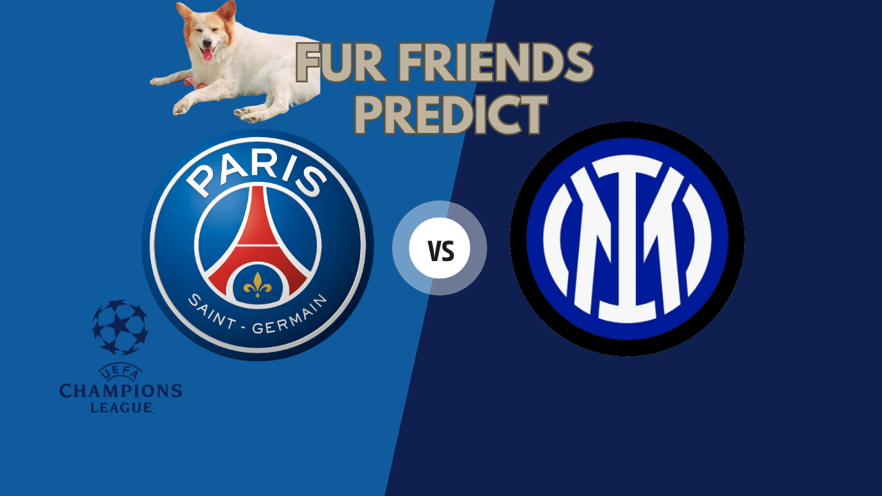 psg-vs-inter-milan-fur-friends-predict-uefa-champions-league-2025-finals